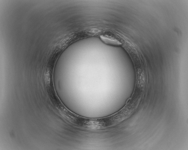 X0000115520562200911201701