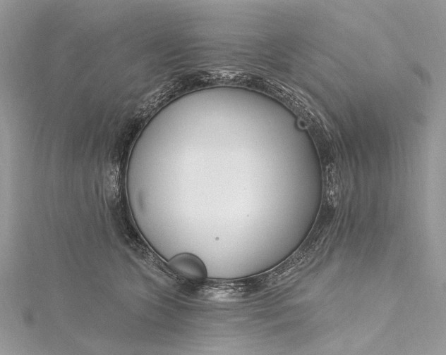 X0000115520563200911201701