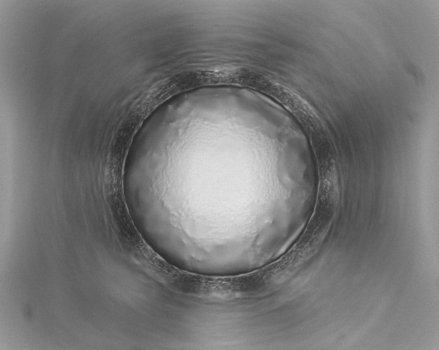 X0000115520565200911201701