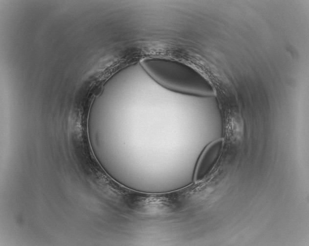 X0000115520566200911201701