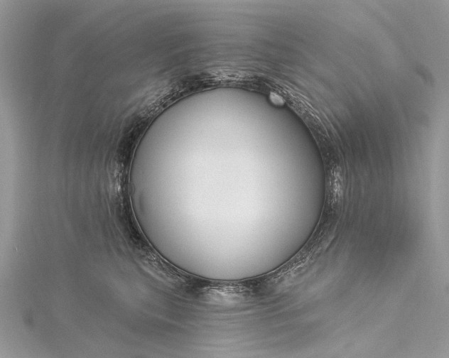 X0000115520567200911201701