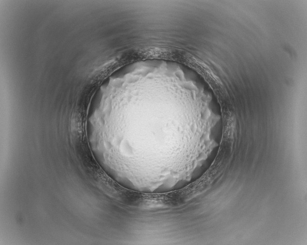 X0000115520569200911201701