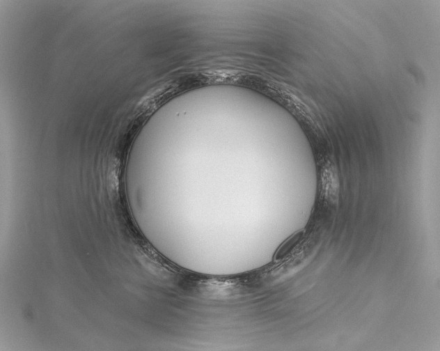 X0000115520570200911201701