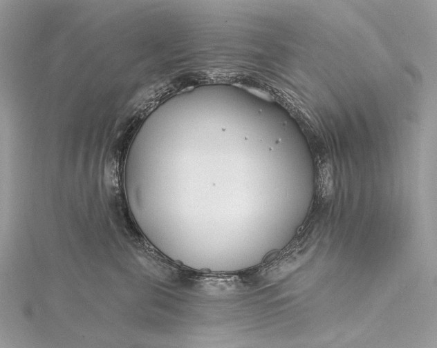 X0000115520571200911201701