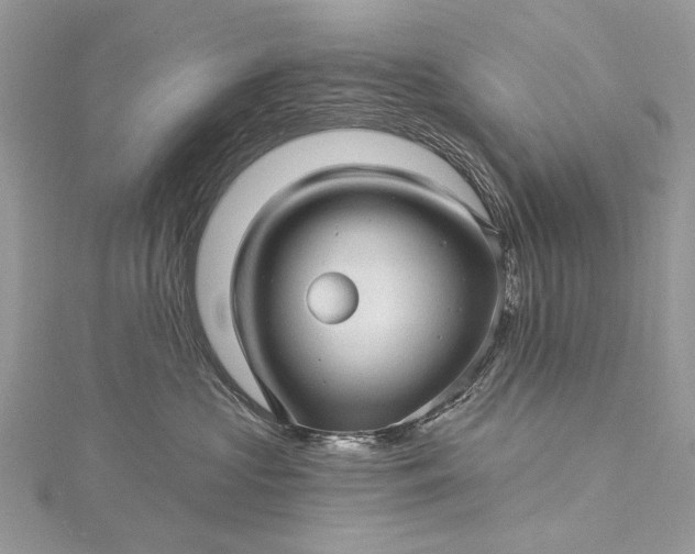 X0000115520573200911201701