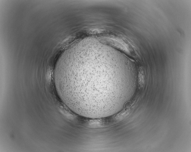 X0000115520574200911201701