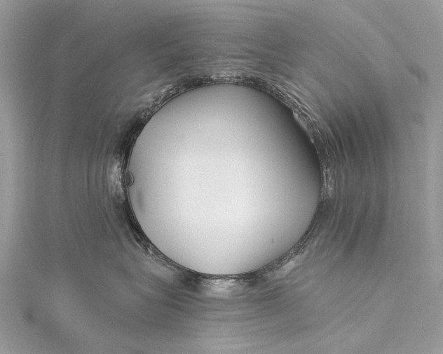 X0000115520575200911201702