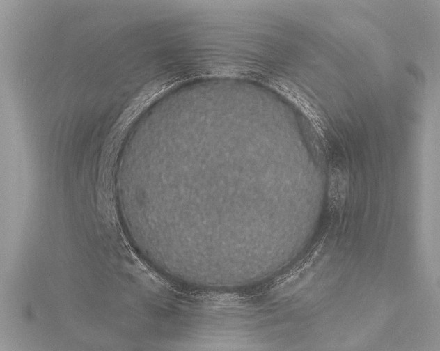 X0000115520577200911201701