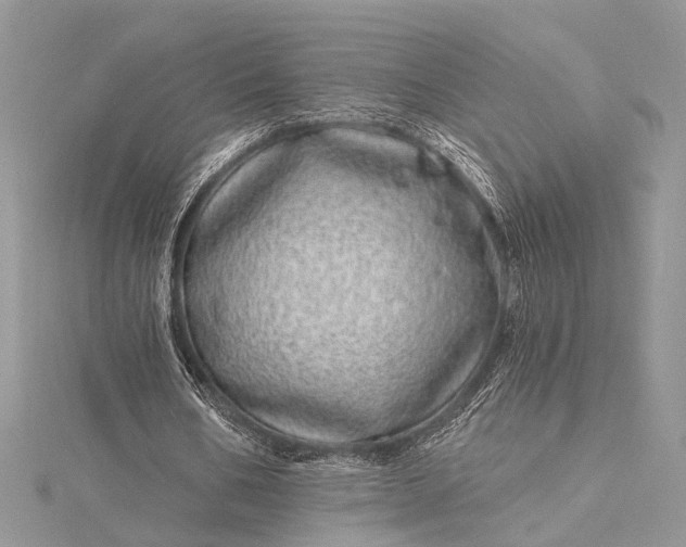 X0000115520578200911201701