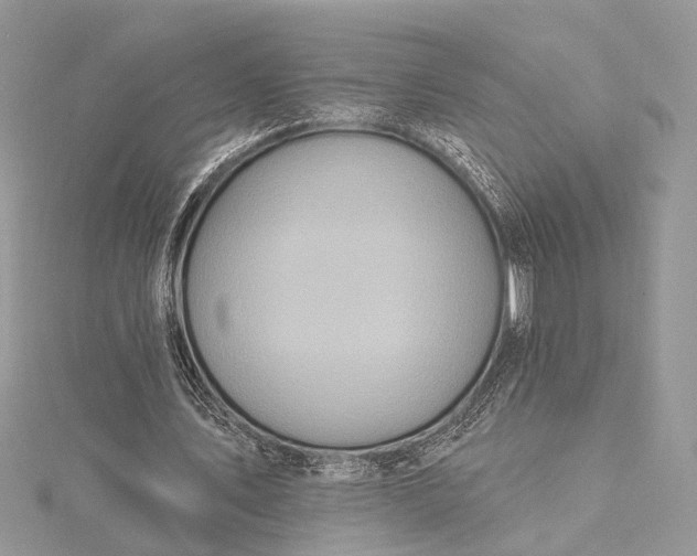 X0000115520579200911201701