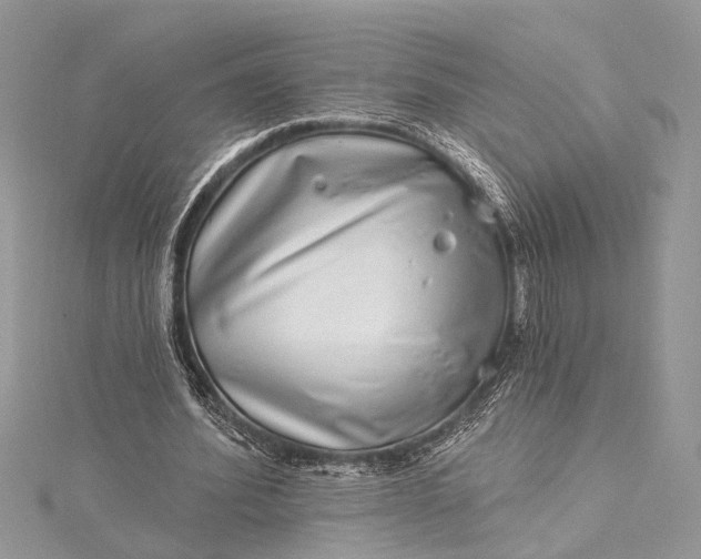 X0000115520580200911201701