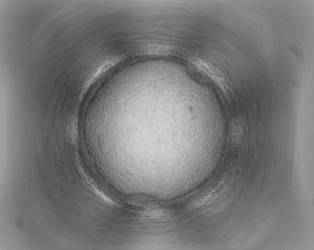 X0000115520581200911201701