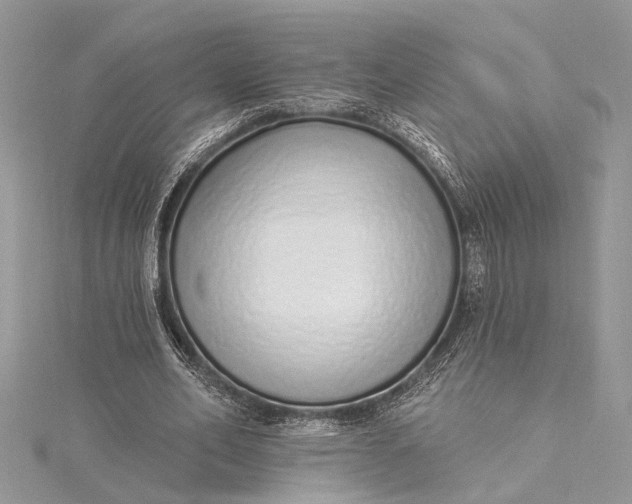 X0000115520582200911201701