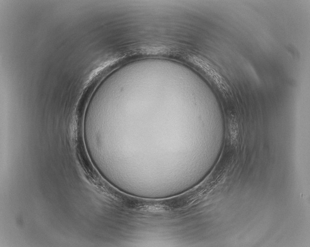 X0000115520583200911201701