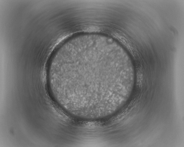 X0000115520584200911201701