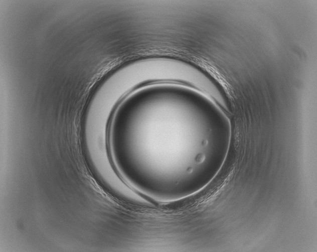 X0000115520585200911201701