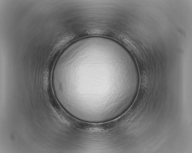 X0000115520586200911201701