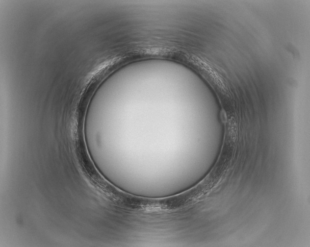 X0000115520587200911201701