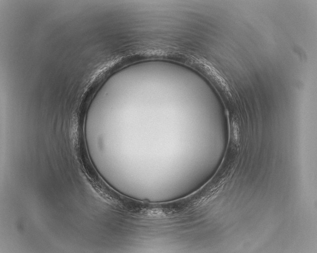 X0000115520588200911201701