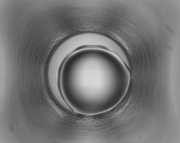 X0000115520589200911201701