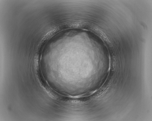 X0000115520590200911201701