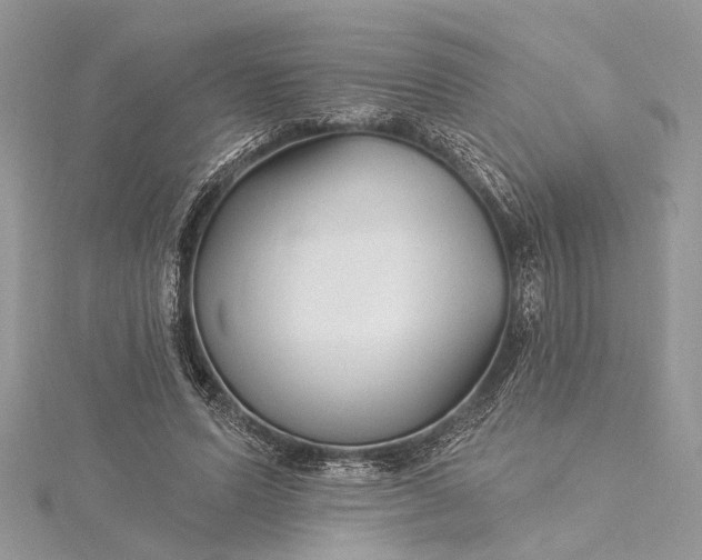 X0000115520591200911201701