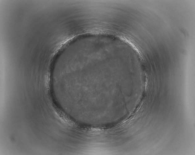 X0000115520592200911201701