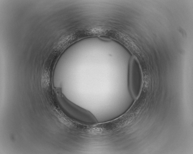 X0000115520593200911201701