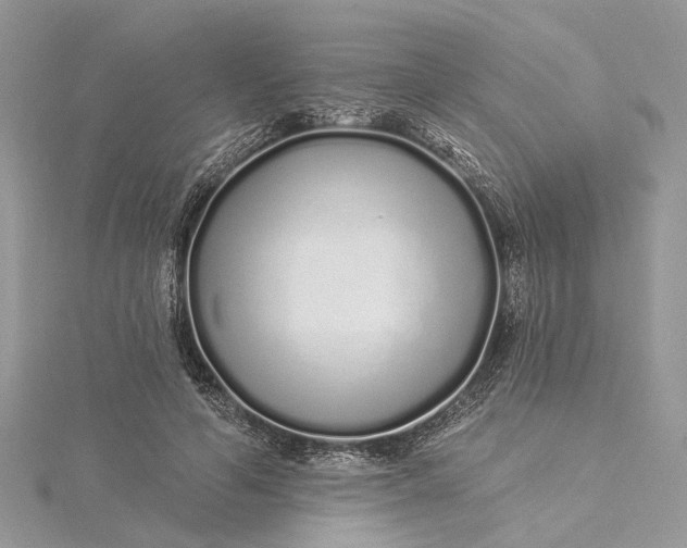 X0000115520594200911201701