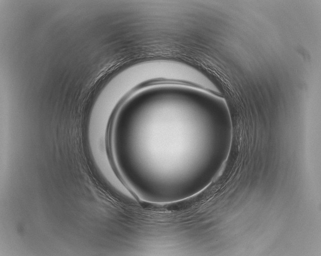 X0000115520595200911201701