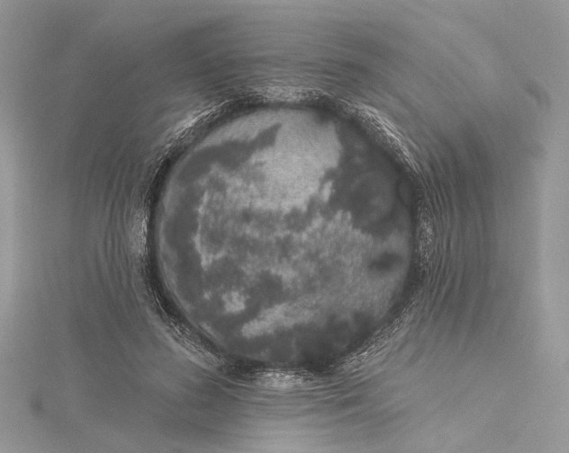 X0000115520596200911201701