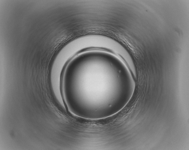 X0000115520597200911201701