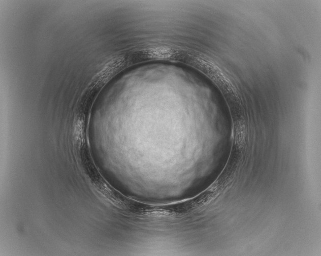 X0000115520598200911201701