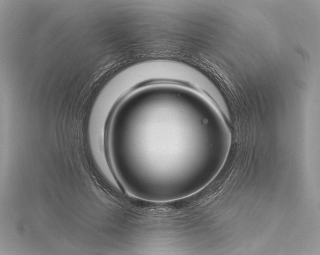 X0000115520599200911201700