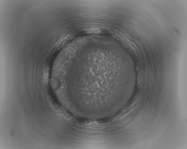 X0000115520600200911201700