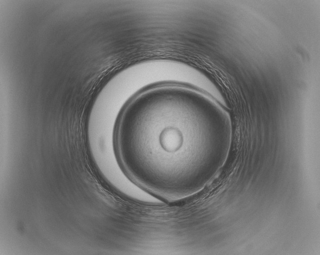 X0000115520601200911201700