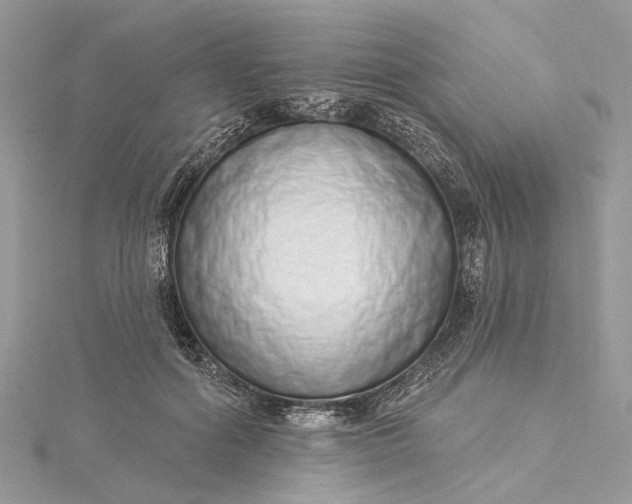 X0000115520602200911201700