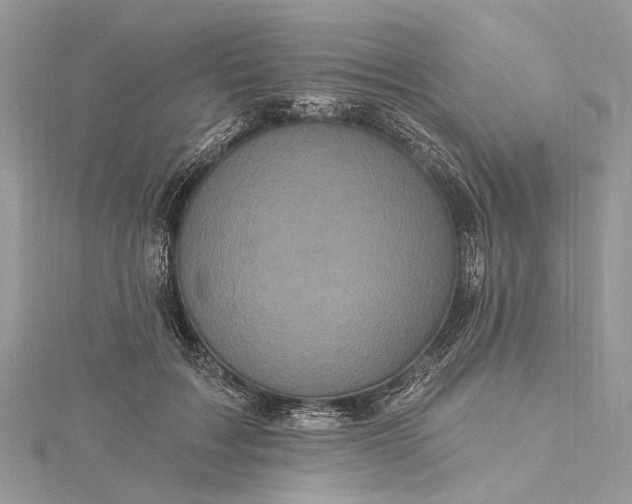 X0000115520603200911201700