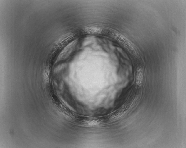 X0000115520604200911201700