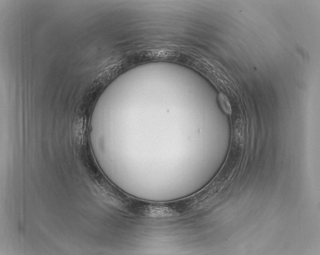 X0000115520605200911201700