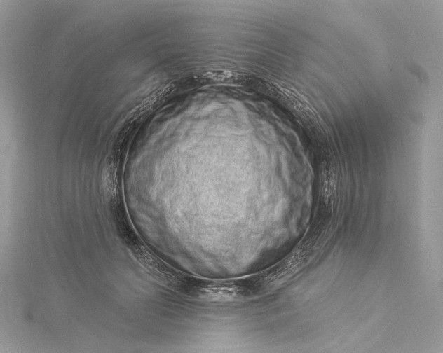 X0000115520606200911201700