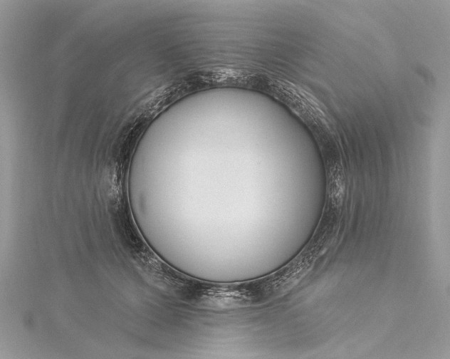 X0000115520607200911201700