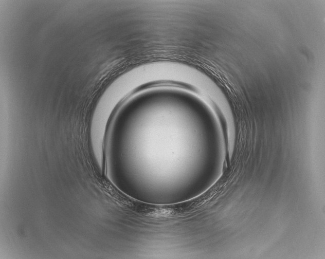 X0000115520609200911201700