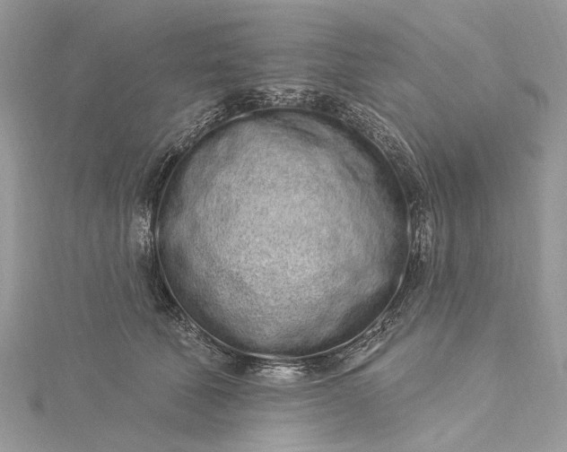 X0000115520610200911201700