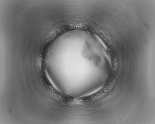 X0000115520612200911201700