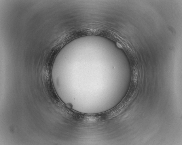 X0000115520613200911201700