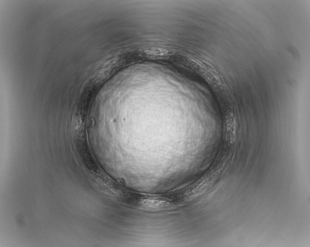 X0000115520614200911201700