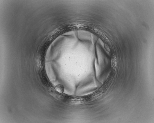 X0000115520615200911201700