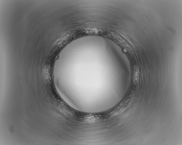 X0000115520616200911201700