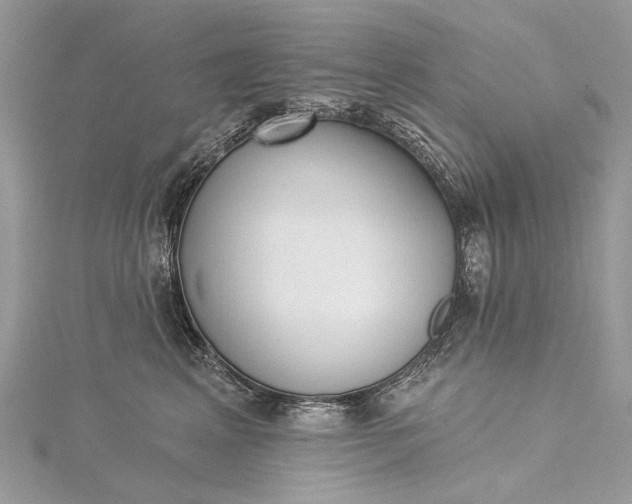 X0000115520617200911201700